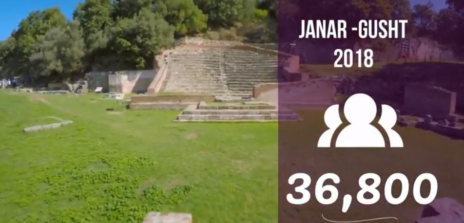 Statistikat e Vizitorëve Janar – Gusht 2018. Parku i Apolonisë